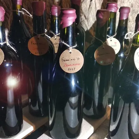 Casa Ele - A Cozy Sardinian House With Liquors